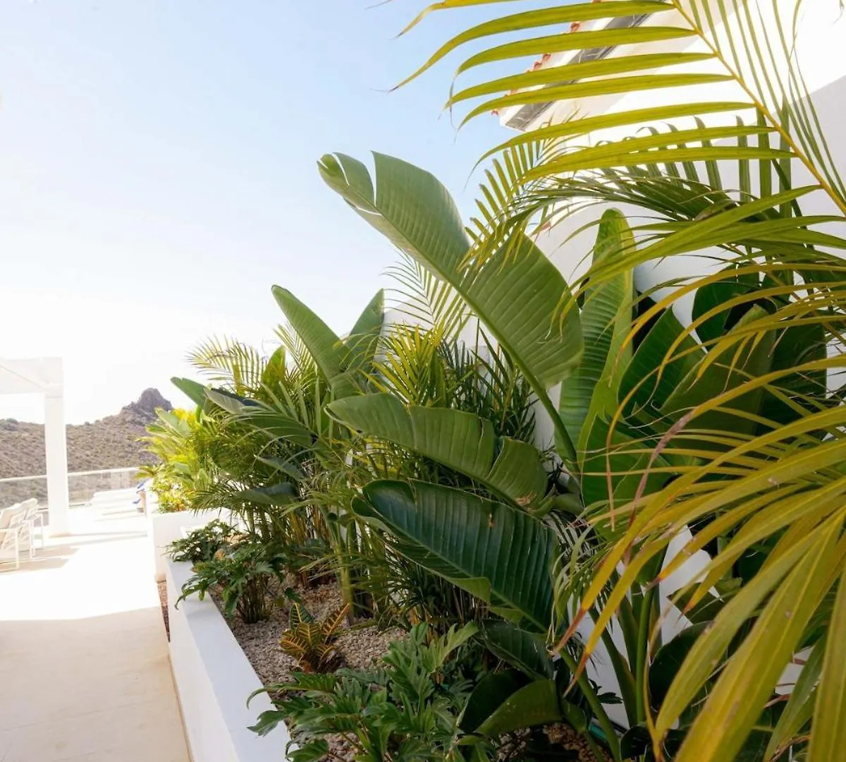 Navarra Sunset, Luxury Villa With Pool And Sea Views Costa Adeje